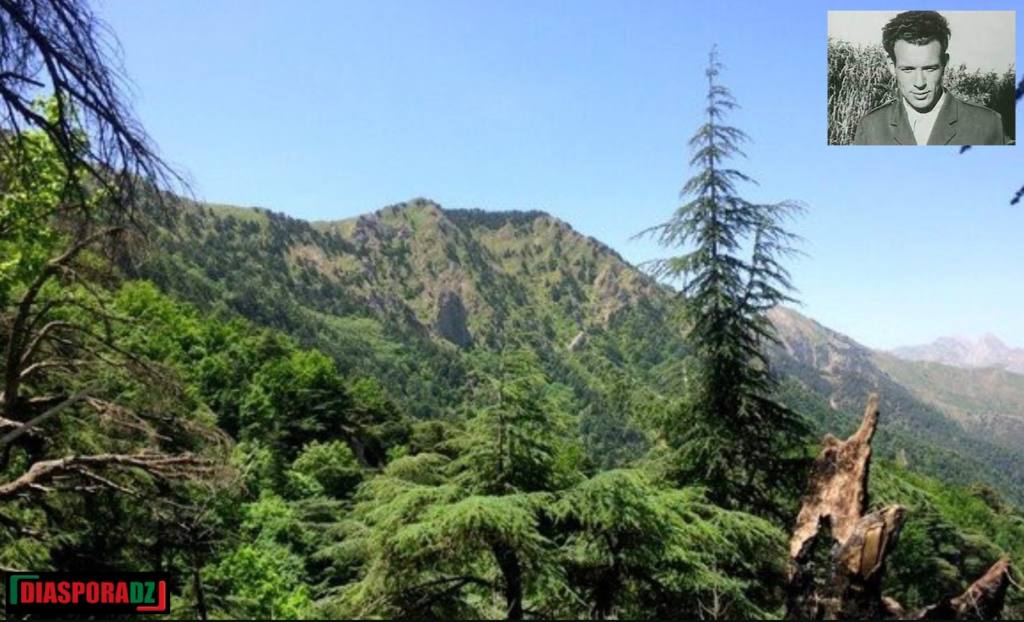 Parc national du Djurdjura : un concours écologique en hommage à Si Mustapha Muller