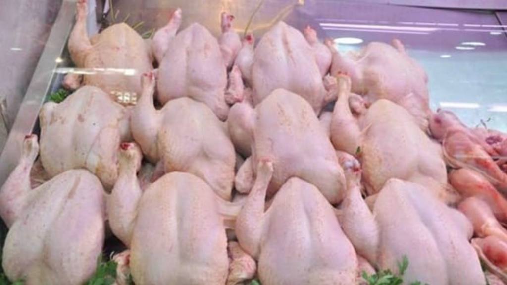 Ramadan : 10 000 tonnes de poulets congelés seront sur les marchés prochainement